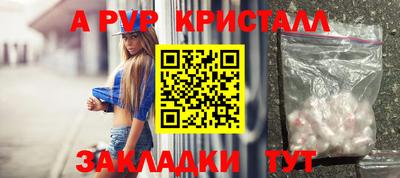 стаф Бийск