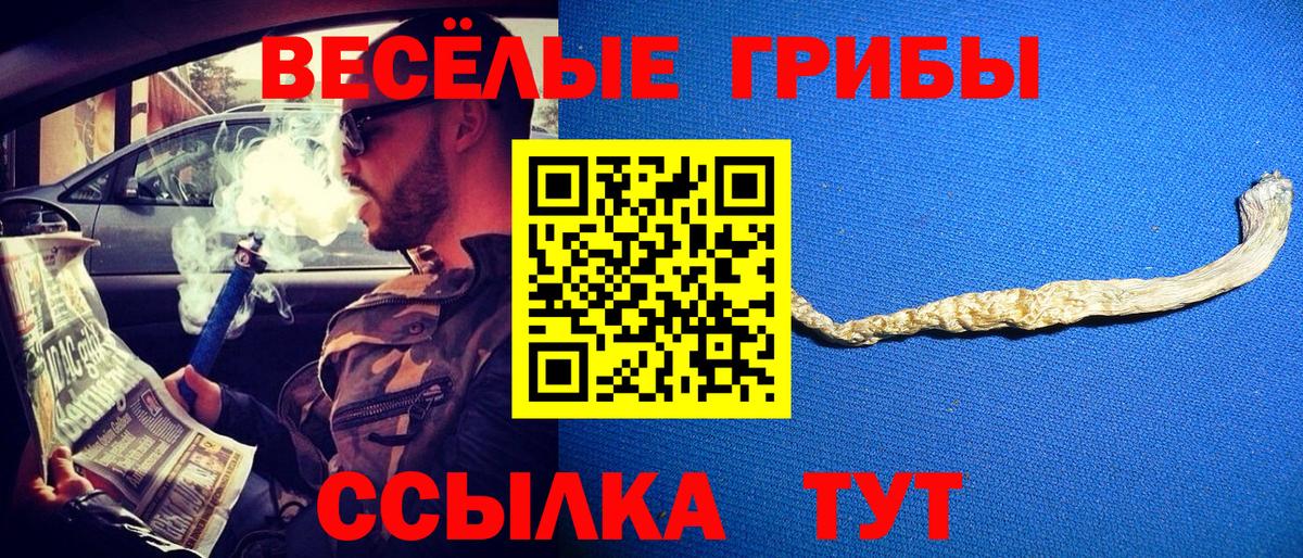 Ковров  Псилоцибиновые грибы Magic Shrooms  Вход с VPN 