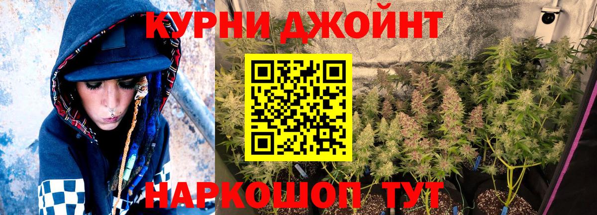 Каннабис план  Марихуана план  Марихуана Ganja  Ковров  Бошки марихуана конопля  Вход с VPN 